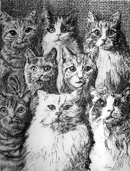 Eight Cats pen & ink drawing by Lisa Bell 1994. Available in print.  