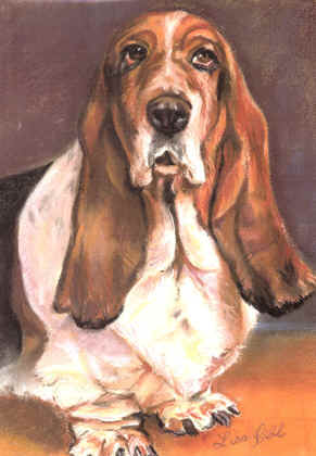 Commission A Bassett Hound by Lisabelle.  Pastel 16x12" 