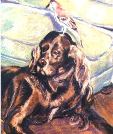 Portraits of people and pets, from photos by Lisa Bell  Portraits in Pastel, title: BIRD DOG 18 x 24"