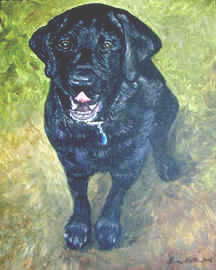 Commission Acrylic portrait of "Jake" A Black Labrador by Lisabelle