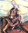 birdogfrmd.jpg (25640 bytes)