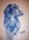 charcoal-kris-dog-portrait.jpg (369376 bytes)
