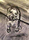 chris_comm_charcoal-lisabelle.jpg (516609 bytes)