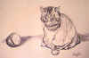 mr-kitty.jpg (55860 bytes)